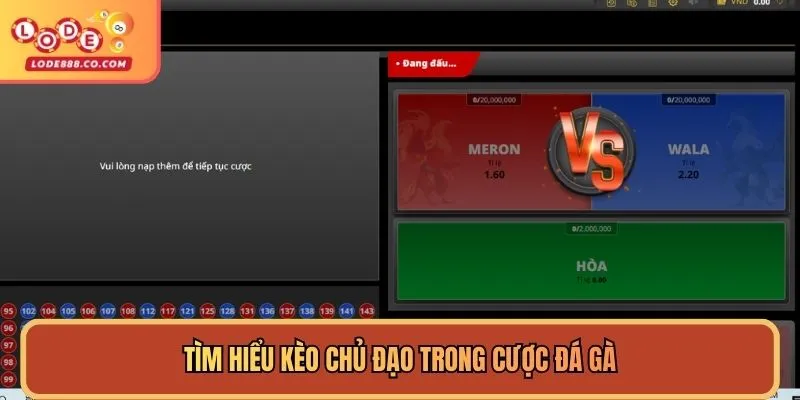 Nhiều kèo hay để bạn chọn cược trận đá gà